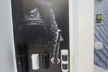 Dialer Seguridad Electrónica en Intersec