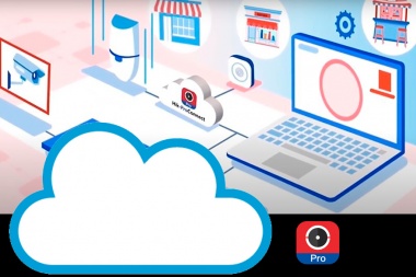 ¿De qué se trata Hik-ProConnect?